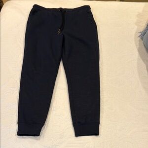 Blue Jogger Fully Lined Sweatpants